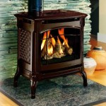 Champlain Direct Vent Gas Stove by Hearthstone