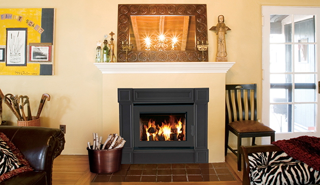 Wood Burning Stoves  Georgetown Fireplace and Patio